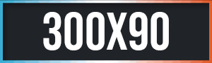 300x90 Example