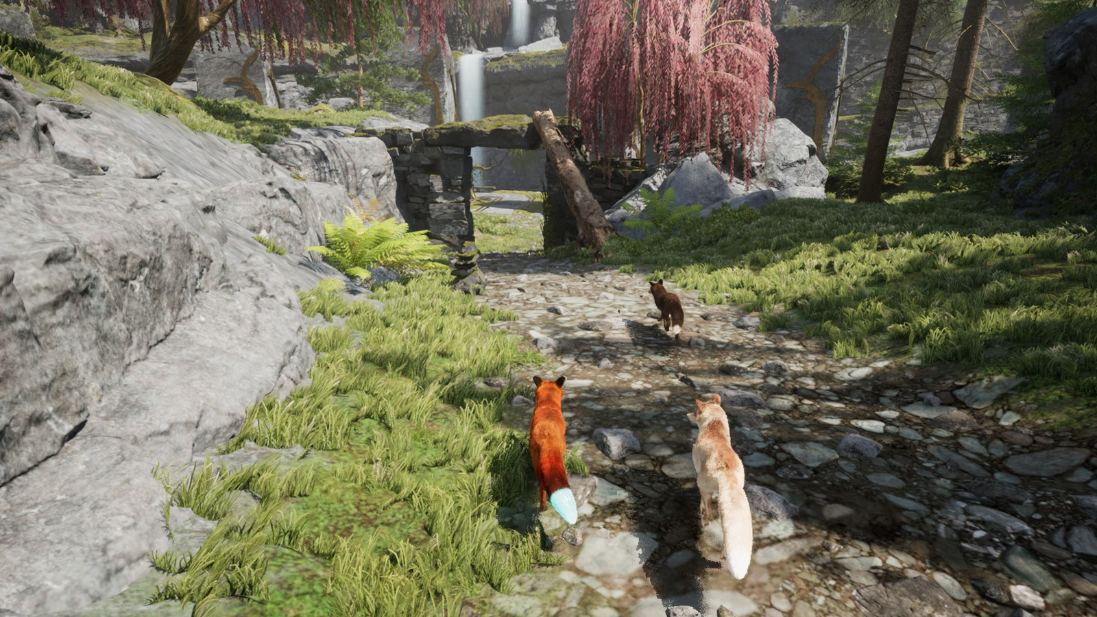 SotN Foxes