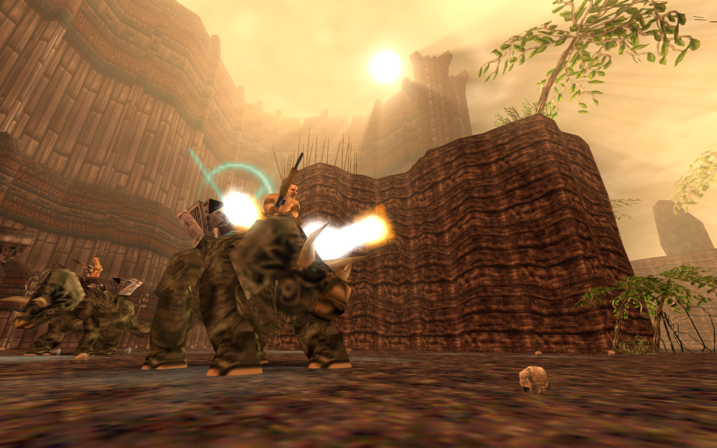 Turok1 2