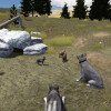 WolfQuest5