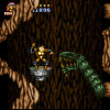 Battletoads_in_Battlemaniacs4