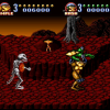 Battletoads_in_Battlemaniacs3