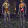 EverQuest3