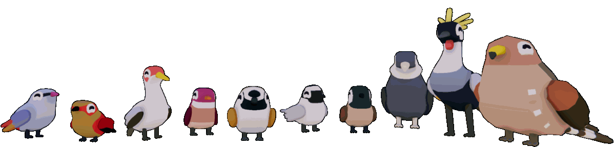 birds